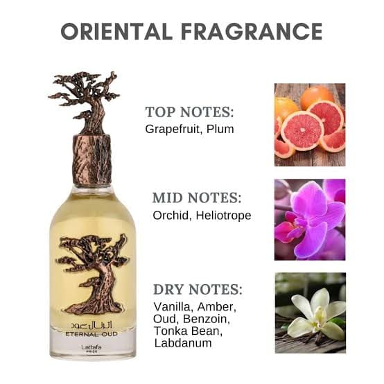 ETERNAL OUD BY LATTAFA PRIDE 100ml - Image 5